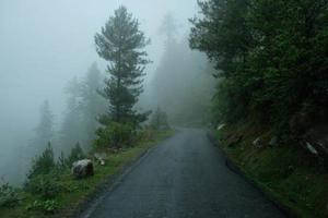 routes de montagne sinueuses dans l'Himalaya. photo