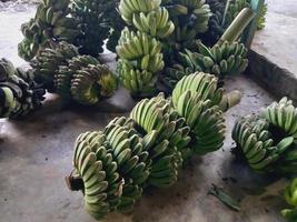 tas de jeunes bananes encore vertes dans l'une des boutiques du marché traditionnel photo