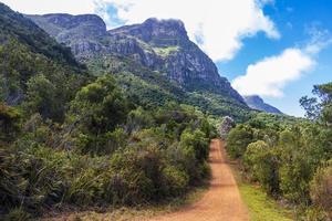 Grandes montagnes et sentiers Jardin botanique national Kirstenbosch, Cape Town. photo