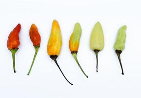 poivre de cayenne isolé sur fond blanc. un petit ingrédient peut donner un goût super épicé aux plats. photo