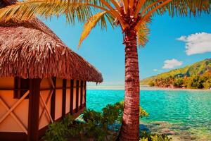 belle plage paradisiaque tropicale avec sable blanc et cocotiers sur panorama de la mer verte. photo