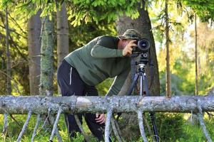 le photographe installe l'appareil photo et se cache derrière les branches de sapin à la lisière de la forêt.