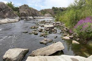 des formations rocheuses de granit et de basalte et une végétation vert vif avec un arbuste à fleurs sur les rives de la rivière rapide bug sud. Ukraine