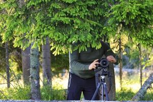 le photographe installe l'appareil photo et se cache derrière les branches de sapin à la lisière de la forêt.