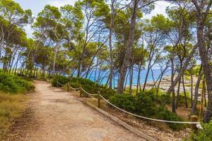Sentier de randonnée naturel dans le parc forestier naturel de Mondrago Mallorca.