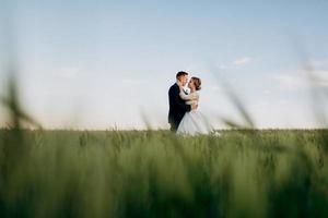 le marié et la mariée marchent le long du champ de blé vert photo