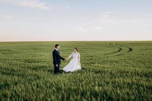 le marié et la mariée marchent le long du champ de blé vert photo