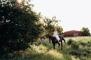 fille dans une robe d'été blanche sur une promenade avec des chevaux bruns photo