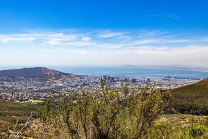 vue derrière les buissons dans la nature sauvage de la montagne de la table au cap. photo