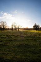 campagne de l'oxfordshire en angleterre photo