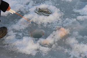 pêche d'hiver, pêche sur glace. vladivostok, russie photo