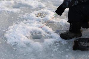 pêche d'hiver, pêche sur glace. vladivostok, russie photo