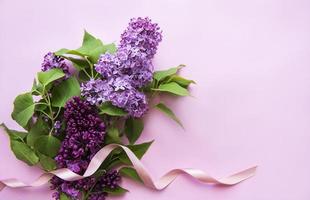 fleurs lilas sur fond rose photo