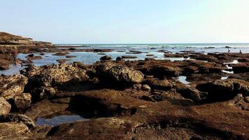 belle mer bleue magnifique panorama de paysage marin. composition de la nature abstrait photo