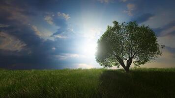 un arbre dans la prairie amour nature amour arbres 3d photo