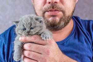 le barbu embrasse un petit chaton photo