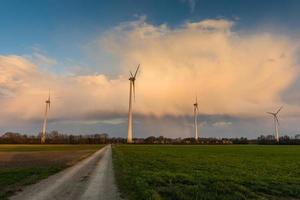 moulins à vent sur des champs verts et un chemin de terre avec un beau ciel photo