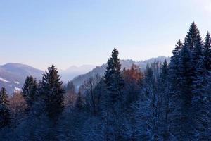 forêt d'hiver gelée dans les alpes bavaroises photo
