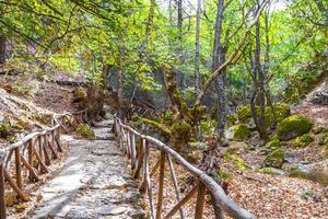 sentier de randonnée pédestre en bois naturel papillons vallée des papillons rhodes grèce.