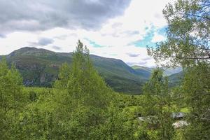 paysage norvégien avec des arbres, des sapins, des montagnes et des rochers. norvège nature. photo