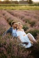 les mariés dans le champ de lavande photo