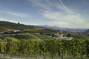 les vignes dans les langhes piémontais en automne photo