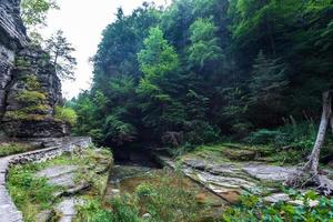 sentier des gorges du parc d'état robert h treman photo