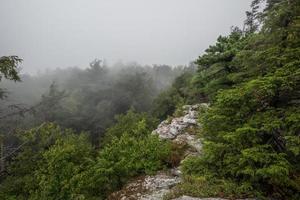 brouillard sur le lac minnewaska photo