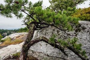 brouillard sur le lac minnewaska photo