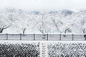 chute de neige blanche fraîche au parc public en hiver à kawaguchiko, japon photo
