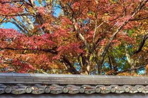 belles feuilles colorées de la nature avec toit traditionnel japonais en automne à kyoto au japon. un point de repère pour les touristes à kyoto, au japon.