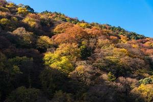 belle nature feuilles d'arbres colorés sur la montagne à arashiyama en automne à kyoto, japon. arashiyama est un point de repère pour les touristes à kyoto, au japon. photo