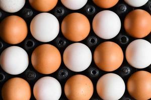 œufs de poule frais et œufs de canard en boîte photo