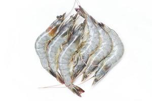 Crevettes crevettes crues - crevettes fraîches isolées sur fond blanc photo