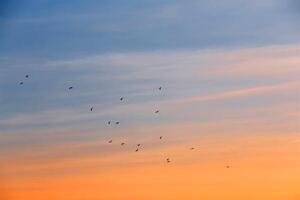 ciel beau nuage orange et jaune ciel blanc bleu belle lumière du soleil avec fond de ciel, ciel du matin au-dessus du ciel. photo