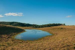 paysage de plaines rurales appelées pampas avec un petit lac et des buissons secs couvrant les collines près de cambara do sul. une petite ville de campagne dans le sud du brésil avec des attractions touristiques naturelles étonnantes. photo