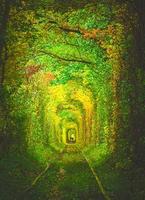 tunnel d'amour en ukraine photo