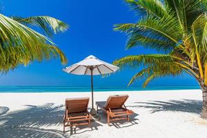 fond de plage tropicale comme paysage d'été avec des chaises longues photo