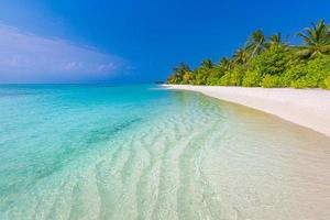 fond d'écran de fond de paysage de plage tropicale exotique ensoleillée. concevoir le concept de vacances de vacances d'été. destination de voyage de luxe, nature idyllique, feuilles de palmier pittoresques, environnement naturel étonnant photo