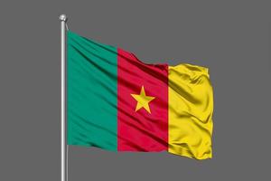 agitant le drapeau du Cameroun photo