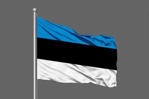 agitant le drapeau de l'Estonie photo