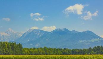 magnifique paysage de montagne et de forêt avec ciel nuageux en slovénie. photo