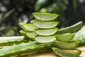 aloe vera frais photo