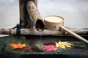 Jardin zen japonais pour la relaxation, l'équilibre et l'harmonie, la spiritualité ou le bien-être à kyoto, au japon photo