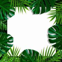 disposition créative de fond de feuilles tropicales avec cadre carré blanc, mise à plat photo