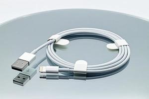 bologne, italie, 2019 - câble Lightning vers usb développé par apple inc.