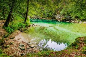 endroit isolé privé au bord de l'eau en slovénie photo