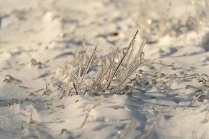 fond naturel avec des cristaux de glace sur les plantes après une pluie glacée. photo