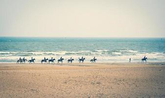 équitation sur la plage photo