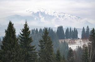 cabane dans les oods en ukraine en hiver photo